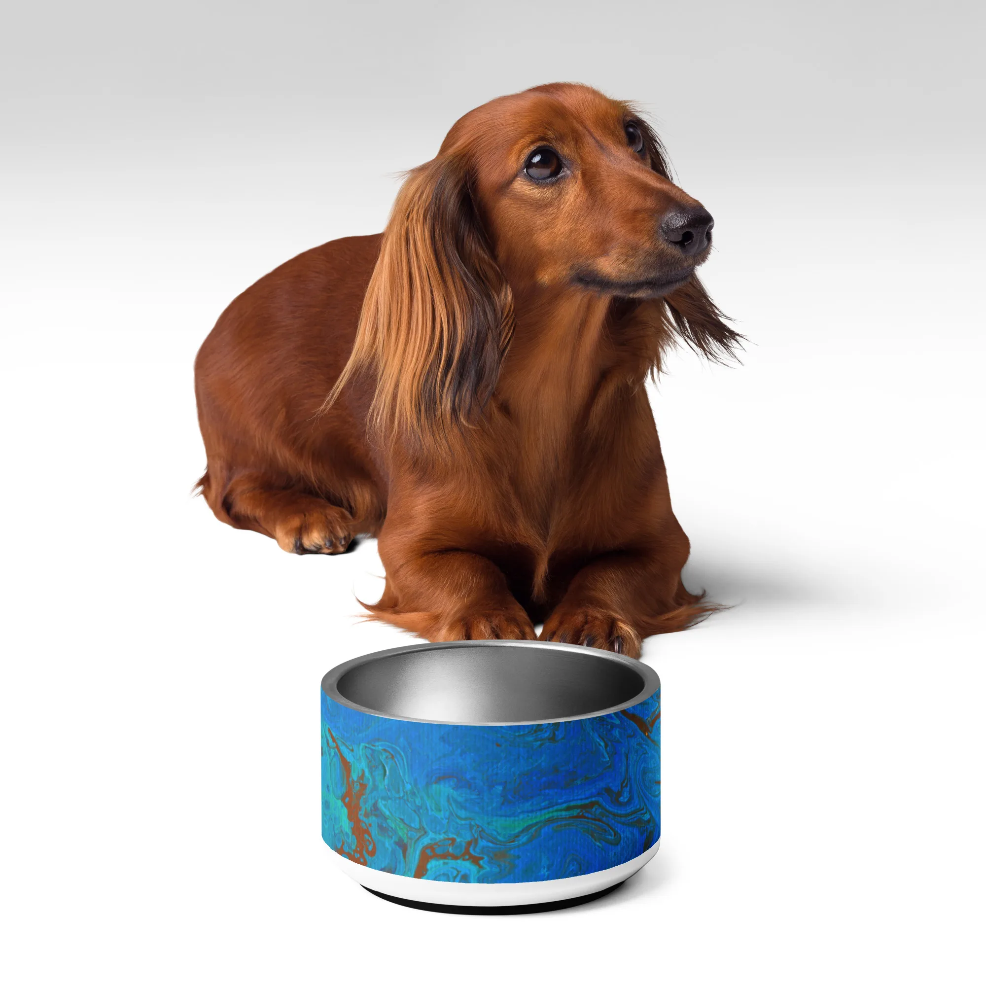 The Meg Attacks - Pet bowl - Image 12