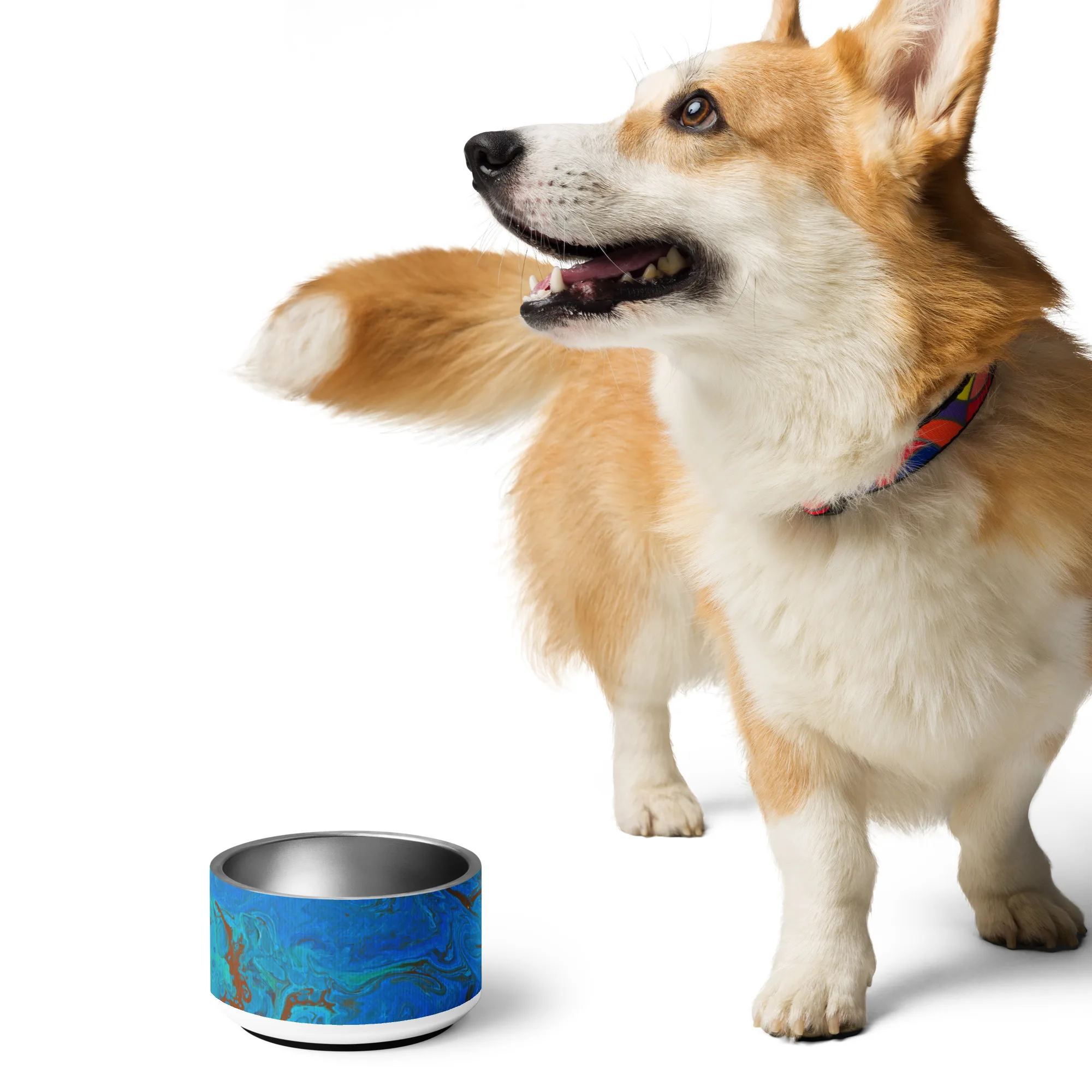 The Meg Attacks - Pet bowl - Image 16