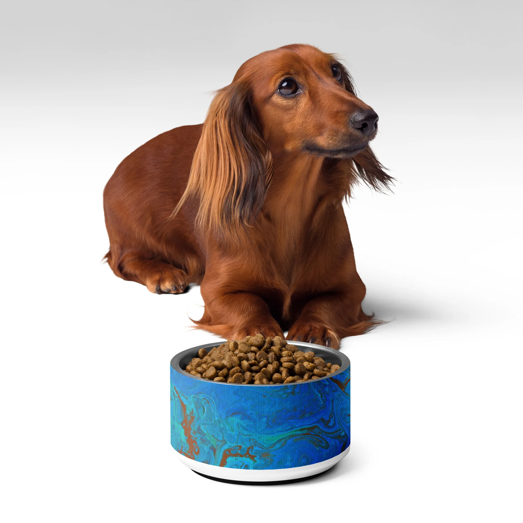 The Meg Attacks - Pet bowl - Image 11