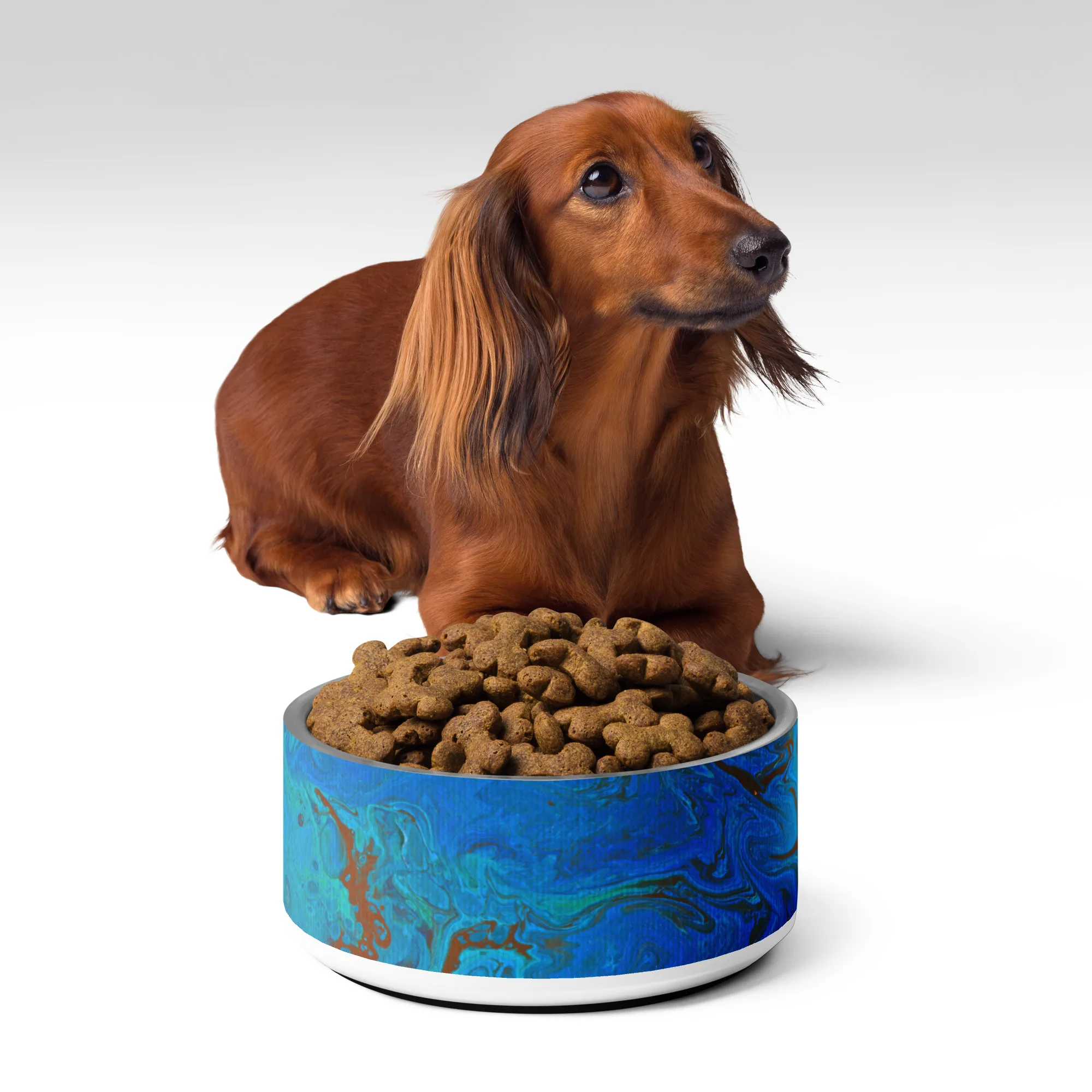 The Meg Attacks - Pet bowl - Image 13
