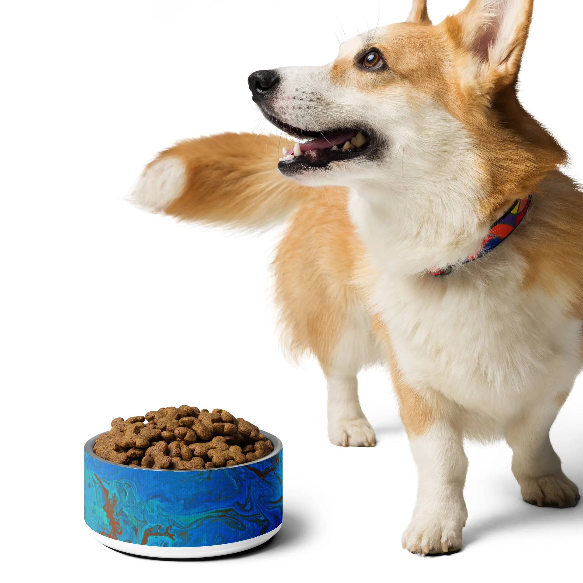 The Meg Attacks - Pet bowl - Image 17