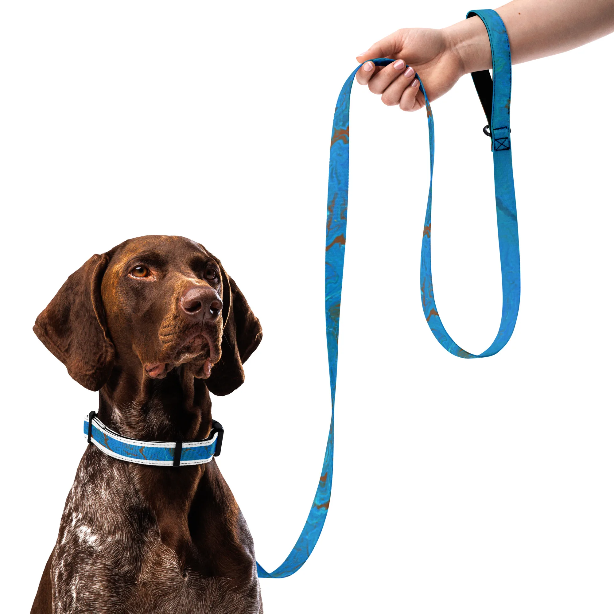 The Meg Attacks - Pet collar & leash - Image 6